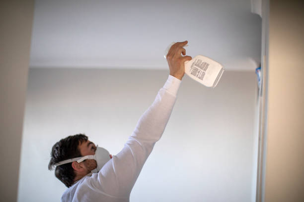 Reliable Hallettsville, TX Mold Removal Solutions